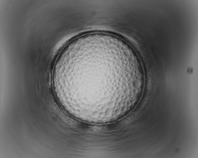 X0000115621271200911241615