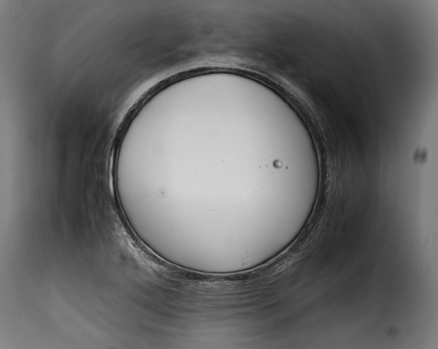 X0000115621272200911241615