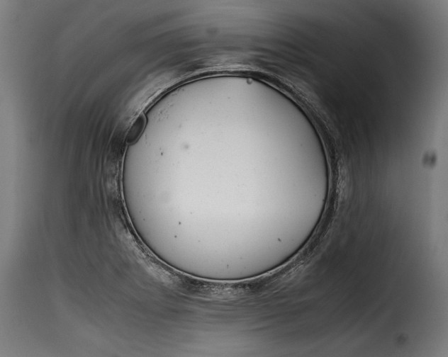 X0000115621273200911241615