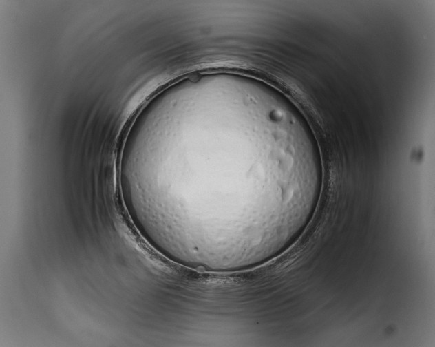 X0000115621274200911241615