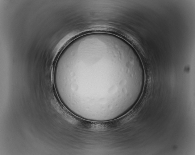 X0000115621275200911241615