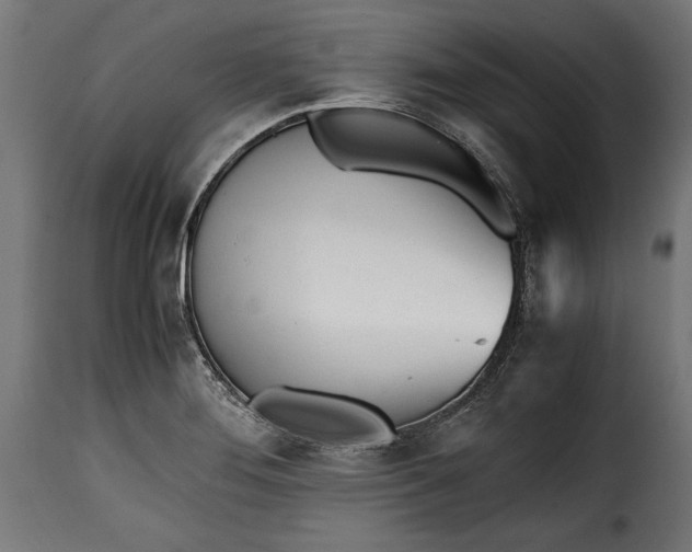 X0000115621276200911241615