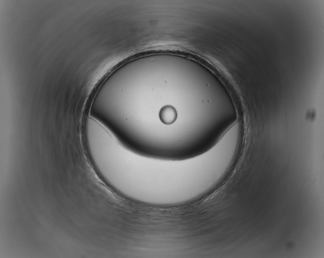 X0000115621277200911241615