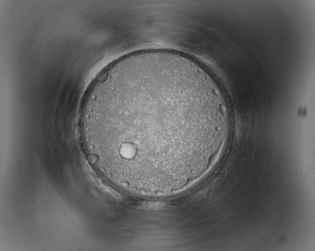 X0000115621278200911241615