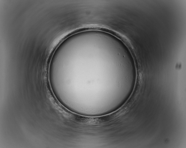 X0000115621279200911241615