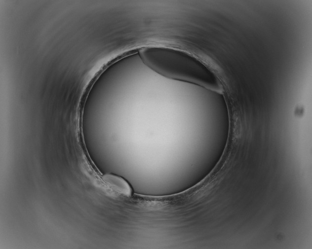 X0000115621280200911241615