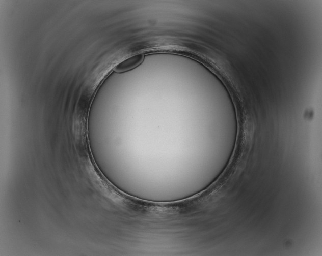 X0000115621281200911241615