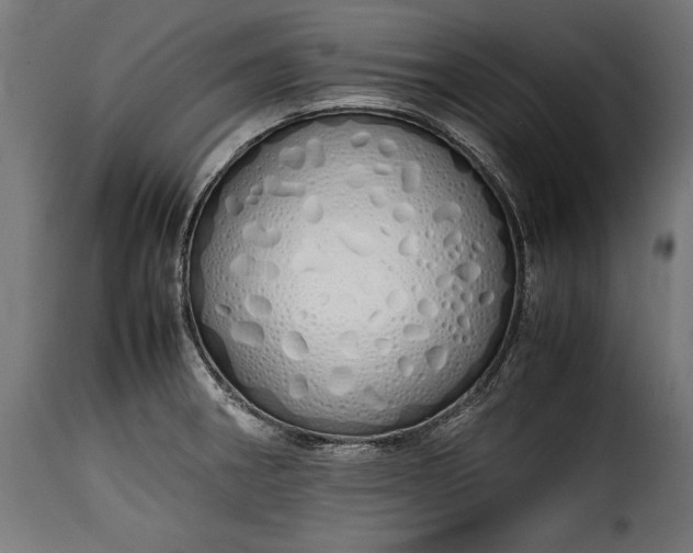 X0000115621282200911241615