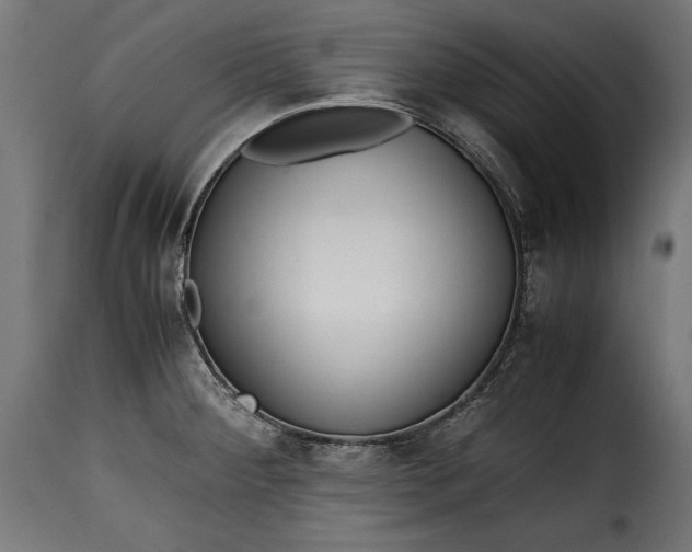 X0000115621284200911241615