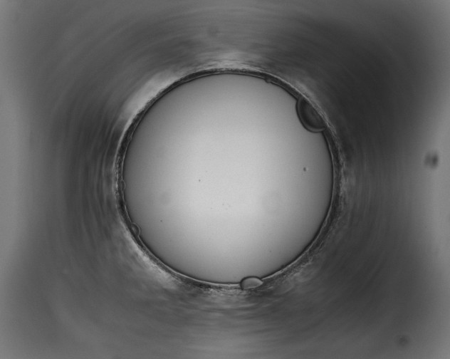 X0000115621285200911241615