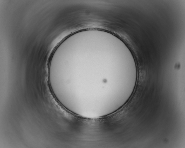 X0000115621286200911241615