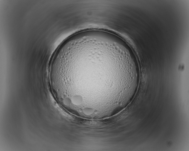 X0000115621287200911241615