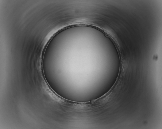 X0000115621288200911241615