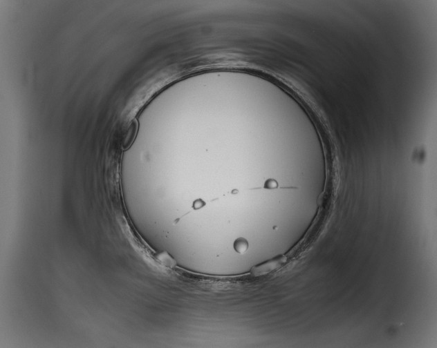 X0000115621289200911241615