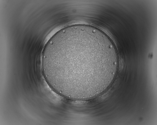 X0000115621290200911241615