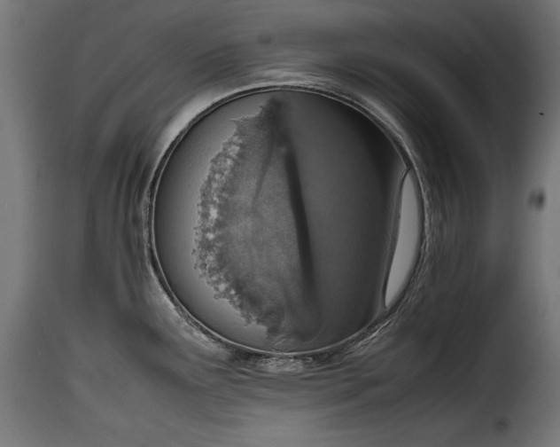 X0000115621291200911241615