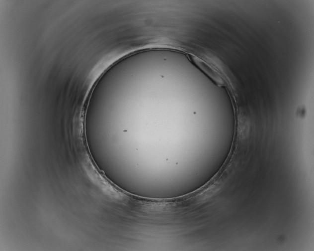 X0000115621292200911241615