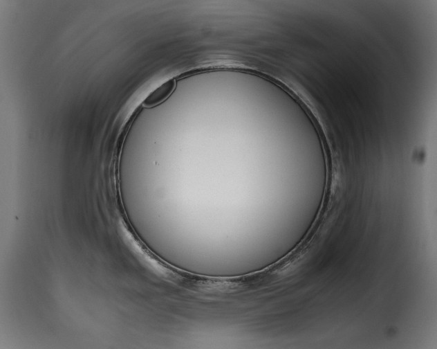 X0000115621293200911241615