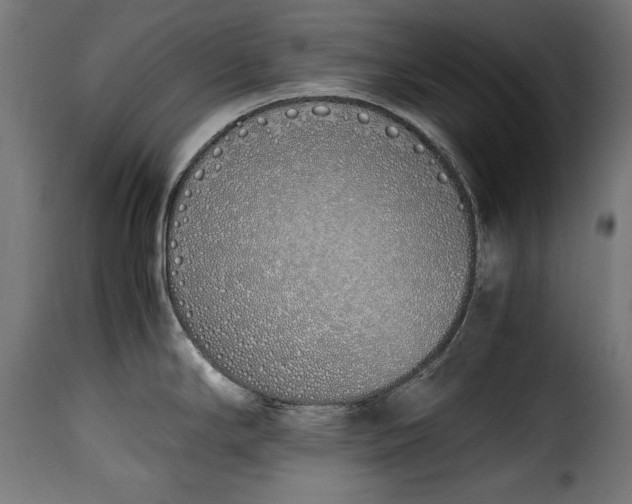 X0000115621294200911241615