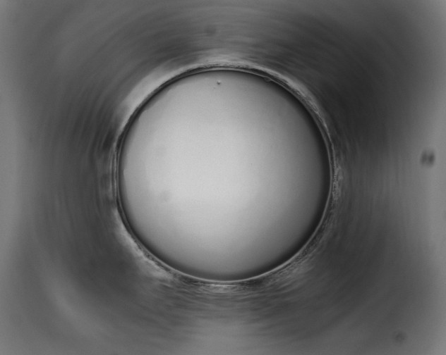 X0000115621295200911241615