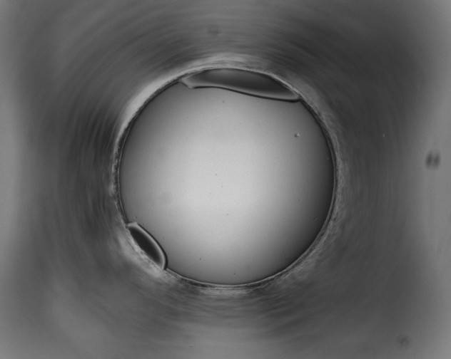 X0000115621296200911241615