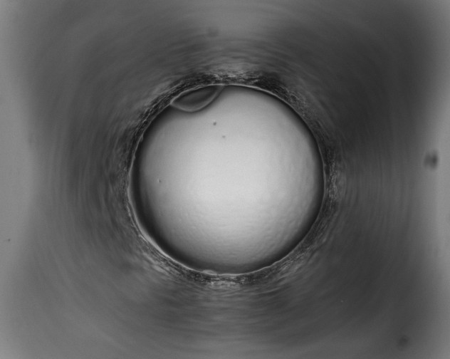 X0000115621297200911241614