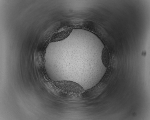 X0000115621298200911241614