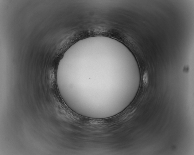 X0000115621299200911241614