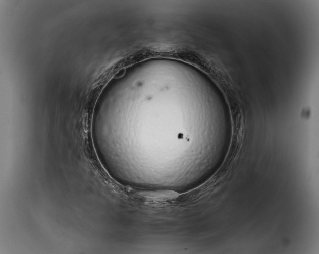 X0000115621301200911241614