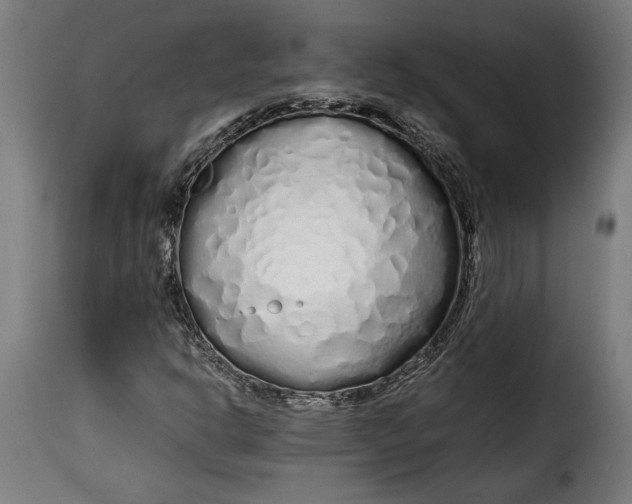 X0000115621302200911241614