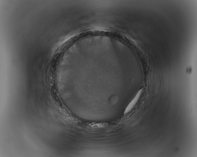 X0000115621303200911241614