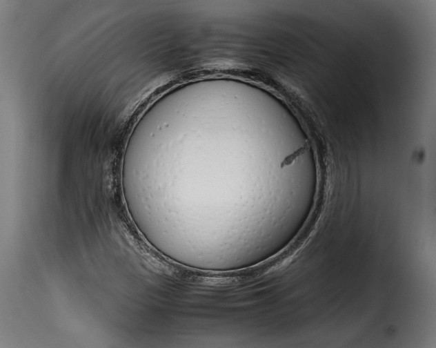 X0000115621305200911241614