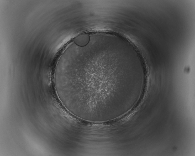 X0000115621306200911241614