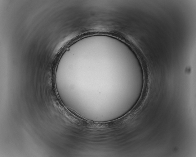 X0000115621307200911241614