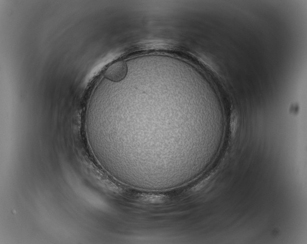 X0000115621309200911241614