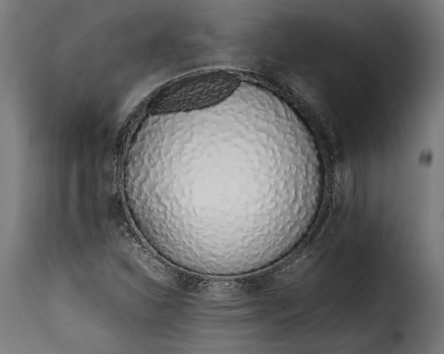 X0000115621310200911241614