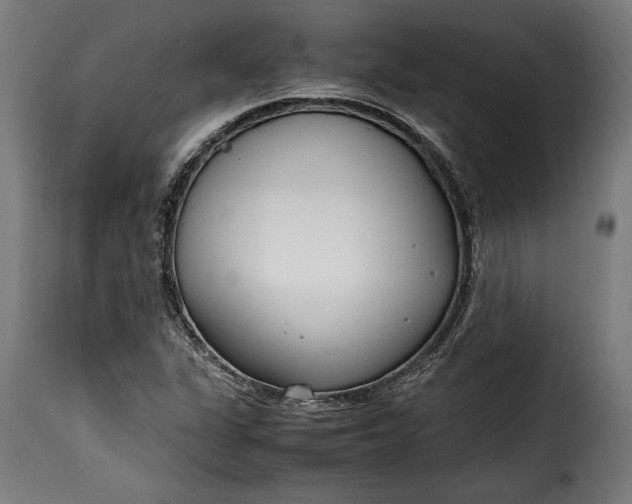 X0000115621311200911241614