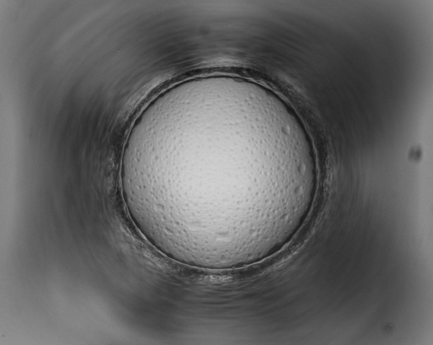 X0000115621313200911241614