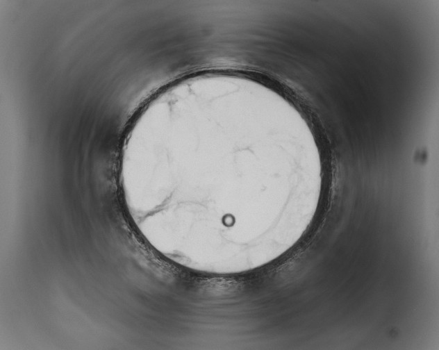 X0000115621314200911241614