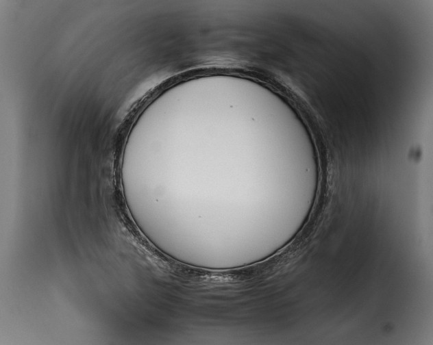 X0000115621315200911241614