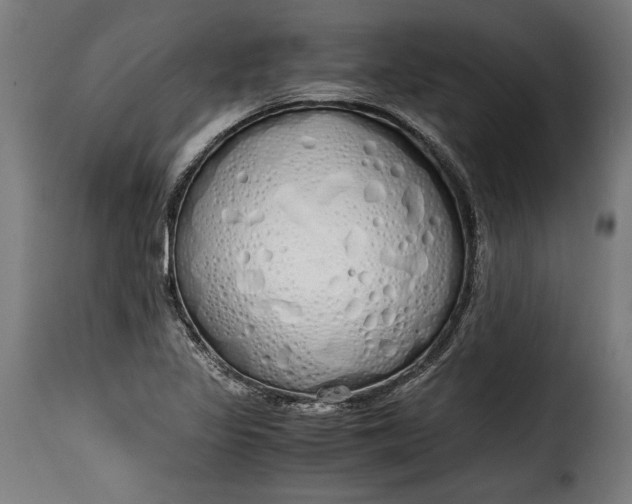 X0000115621317200911241615