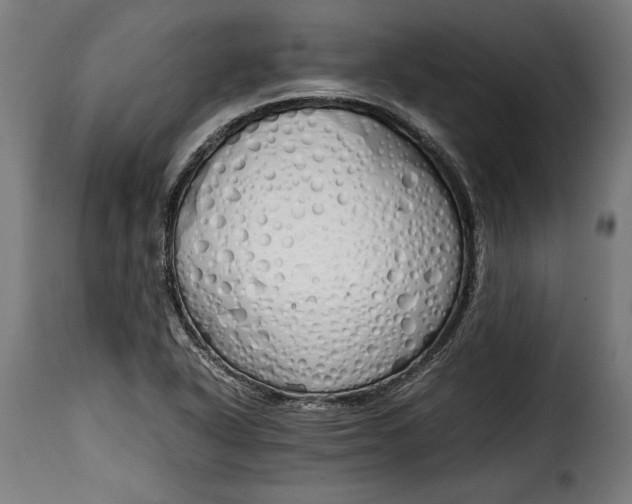 X0000115621318200911241615