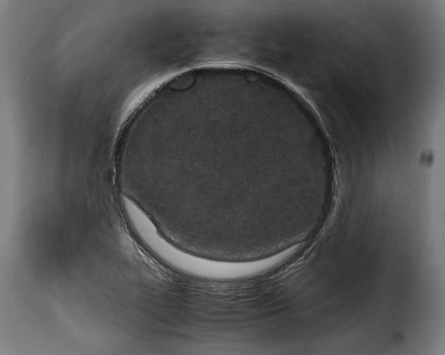 X0000115621319200911241615