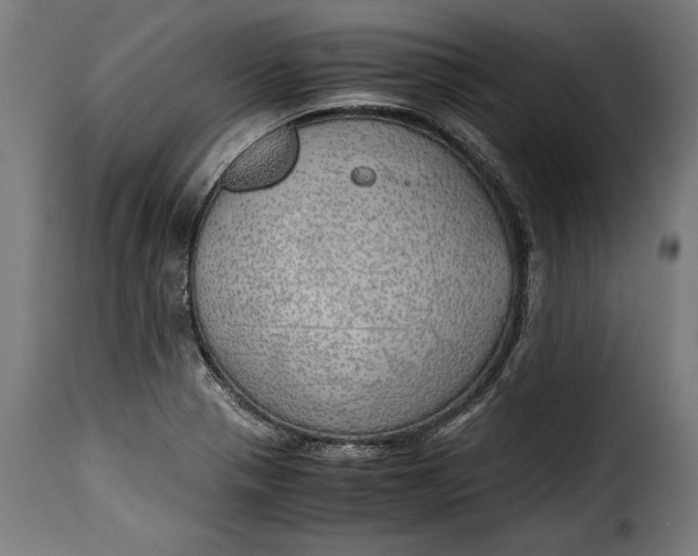 X0000115621321200911241615