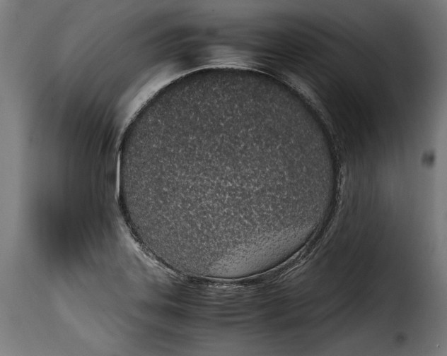 X0000115621323200911241615