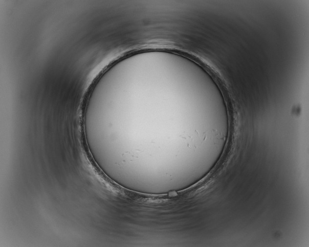 X0000115621325200911241615