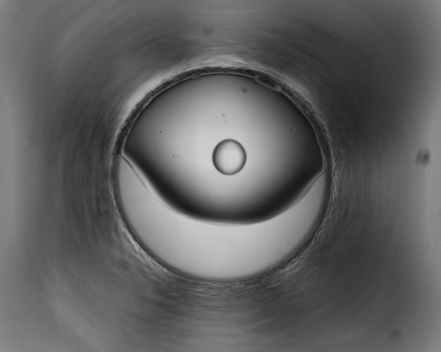 X0000115621326200911241615