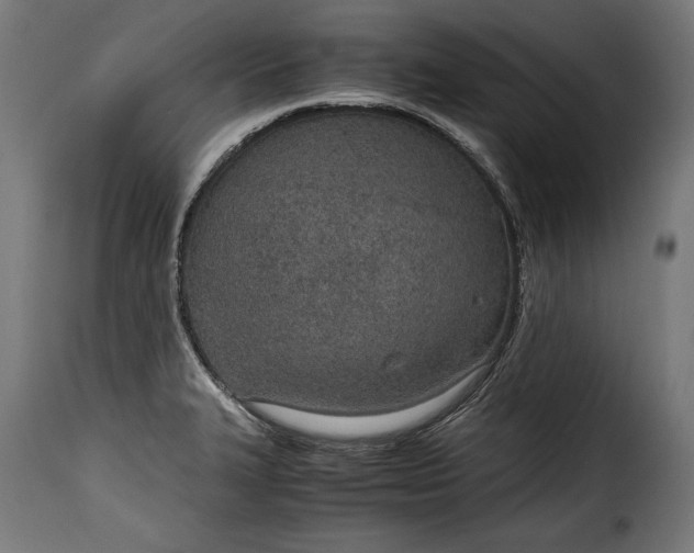 X0000115621327200911241615