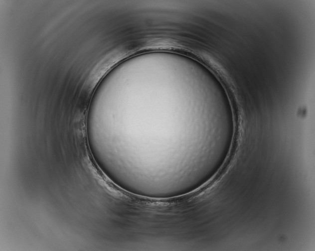 X0000115621329200911241615