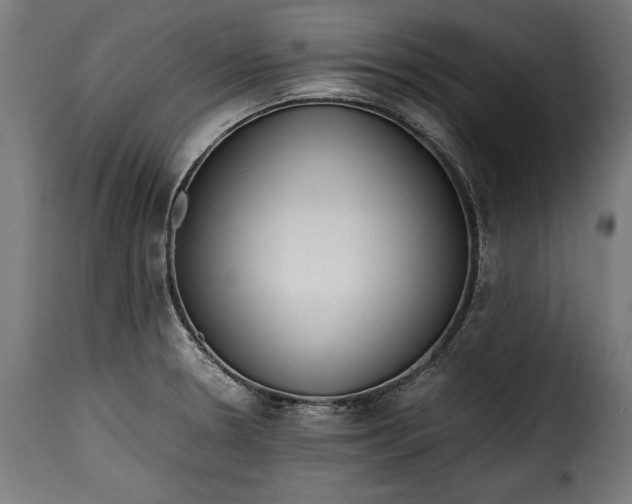 X0000115621330200911241615